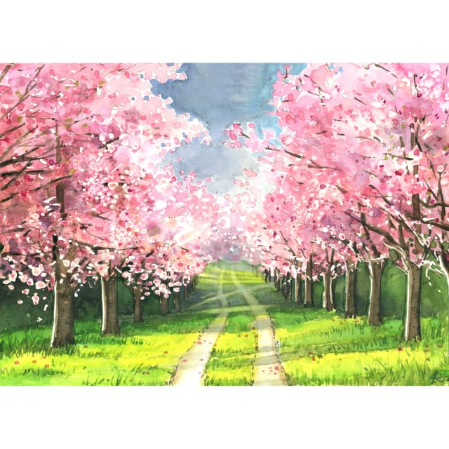 Cherry blossom trees representing the delicate beauty of exceptional hospitality